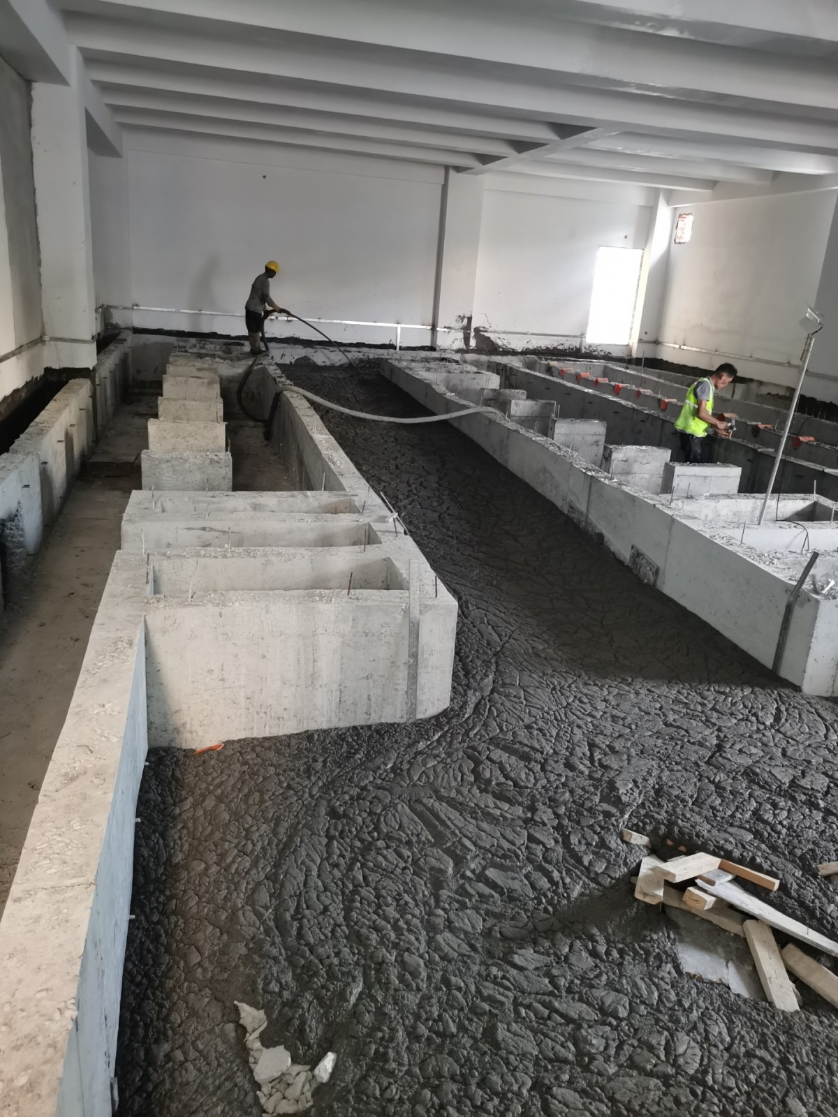 IMG_20240830_162006.jpg