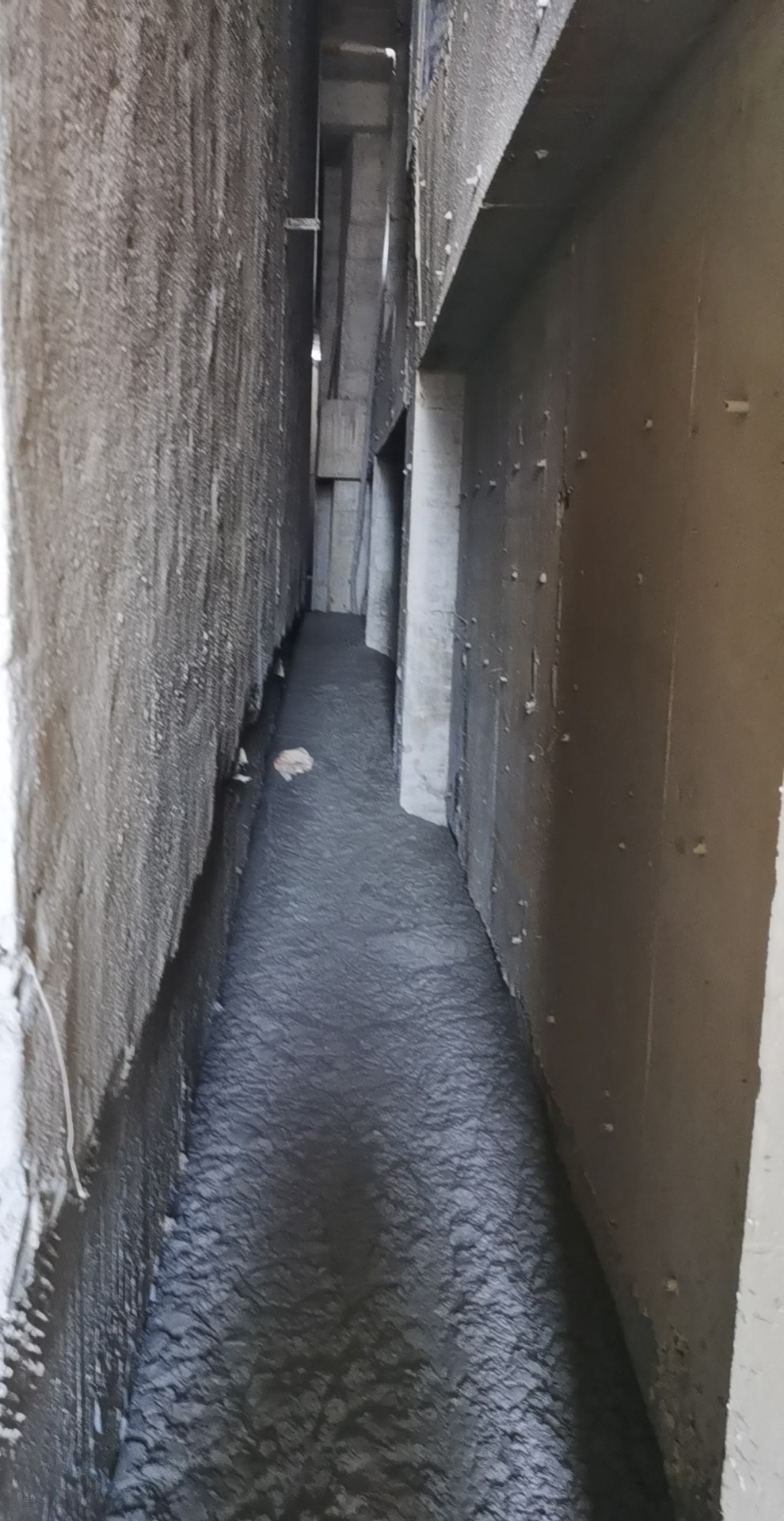 wx_camera_1724825761530.jpg